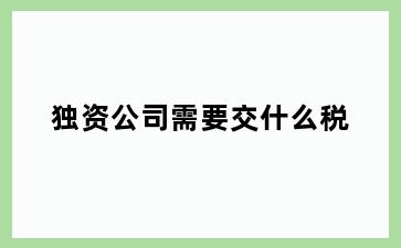 独资公司需要交什么税