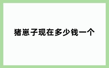 猪崽子现在多少钱一个