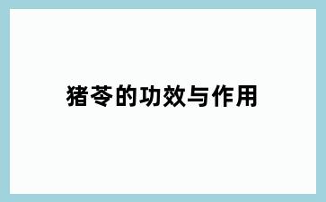 猪苓的功效与作用