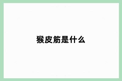 猴皮筋是什么