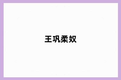 王巩柔奴