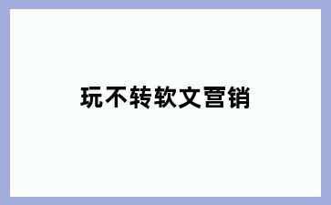 玩不转软文营销