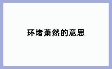 环堵萧然的意思