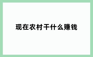 现在农村干什么赚钱