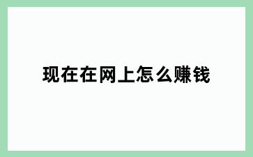 现在在网上怎么赚钱
