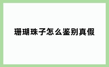 珊瑚珠子怎么鉴别真假