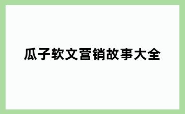 瓜子软文营销故事大全