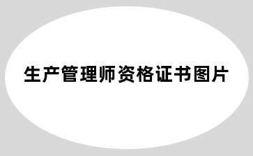 生产管理师资格证书图片