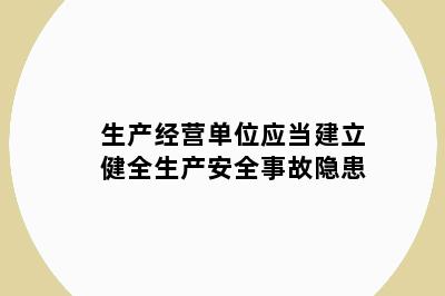 生产经营单位应当建立健全生产安全事故隐患