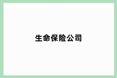 生命保险公司