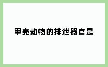 甲壳动物的排泄器官是