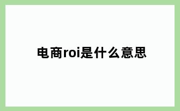 电商roi是什么意思