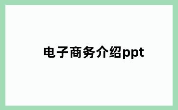 电子商务介绍ppt