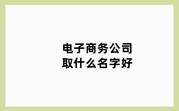 电子商务公司取什么名字好
