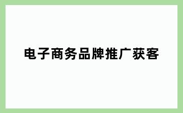 电子商务品牌推广获客