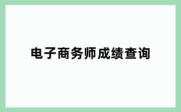 电子商务师成绩查询
