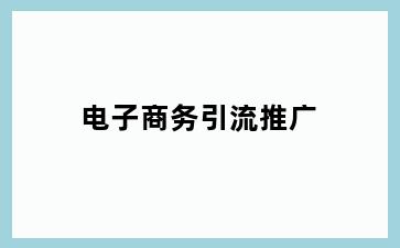 电子商务引流推广