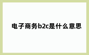 电子商务b2c是什么意思