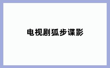 电视剧狐步谍影