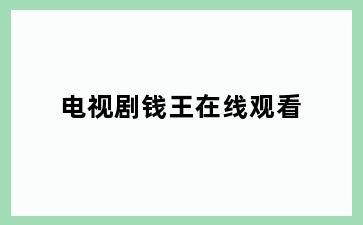 电视剧钱王在线观看