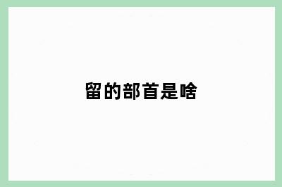 留的部首是啥
