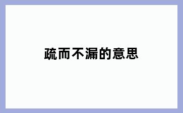 疏而不漏的意思
