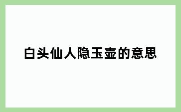 白头仙人隐玉壶的意思