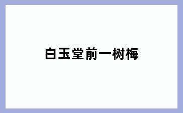 白玉堂前一树梅