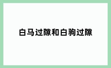 白马过隙和白驹过隙