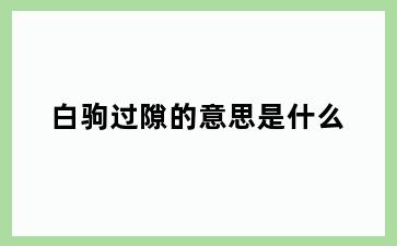 白驹过隙的意思是什么