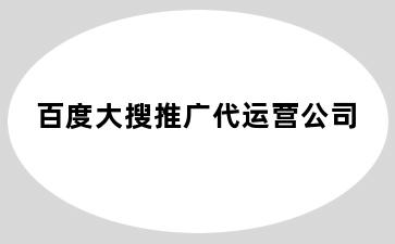 百度大搜推广代运营公司