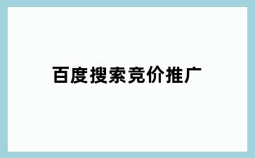 百度搜索竞价推广