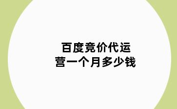百度竞价代运营一个月多少钱