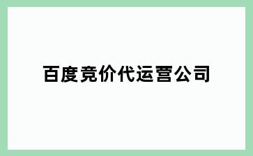 百度竞价代运营公司