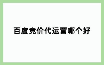 百度竞价代运营哪个好