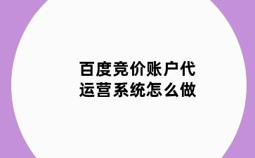 百度竞价账户代运营系统怎么做