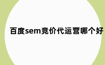 百度sem竞价代运营哪个好