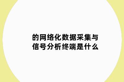 的网络化数据采集与信号分析终端是什么