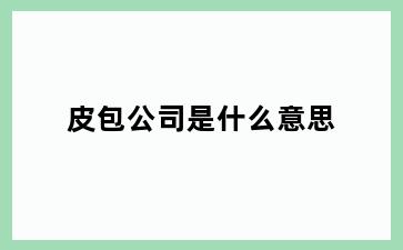 皮包公司是什么意思