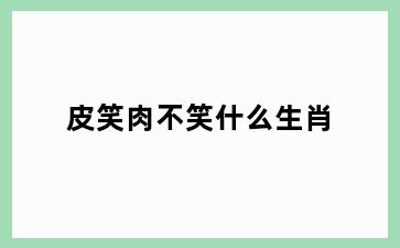 皮笑肉不笑什么生肖