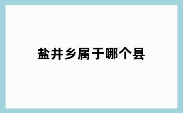 盐井乡属于哪个县