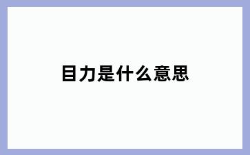 目力是什么意思