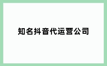 知名抖音代运营公司