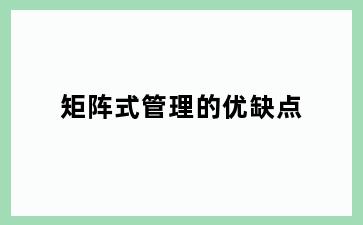 矩阵式管理的优缺点