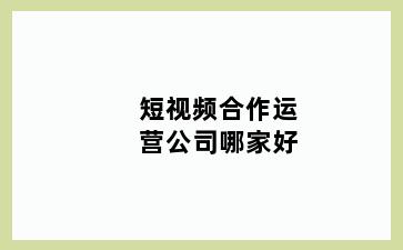 短视频合作运营公司哪家好
