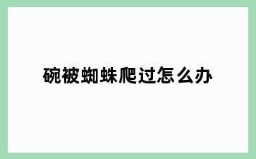 碗被蜘蛛爬过怎么办