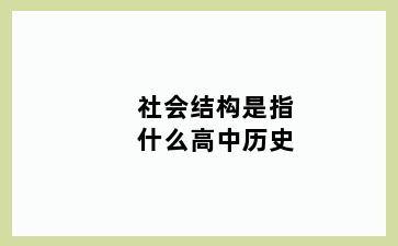 社会结构是指什么高中历史