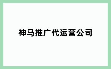 神马推广代运营公司