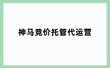 神马竞价托管代运营