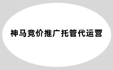 神马竞价推广托管代运营
